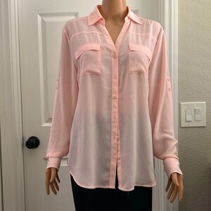 Shear pale pink blouse.